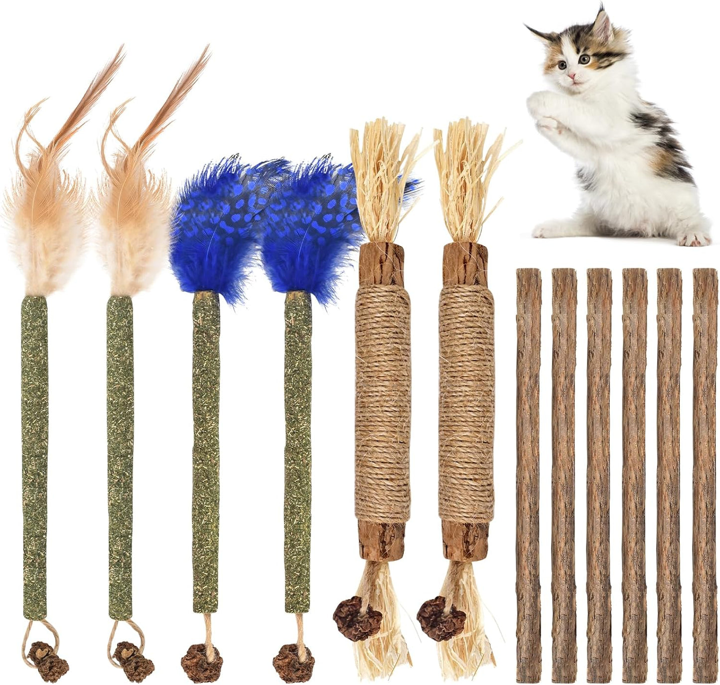 Bissap 10 PCS Silvervine Chew Sticks for Cats, Catnip Chew Sticks Cat Toys for Indoor Cat Kitten Teeth Grinding Interactive Feather Toys for Aggressive Chewers Dental Care - Image 9