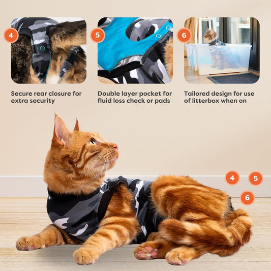 Cat wearing Suitical camouflage protective recovery clothing after spaying