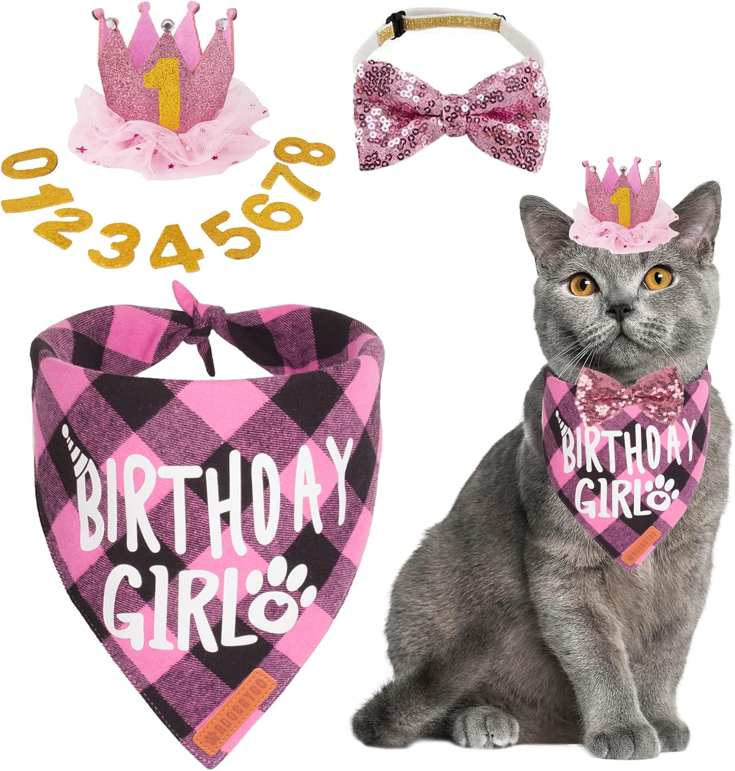 Complete cat birthday party kit with interchangeable numbers