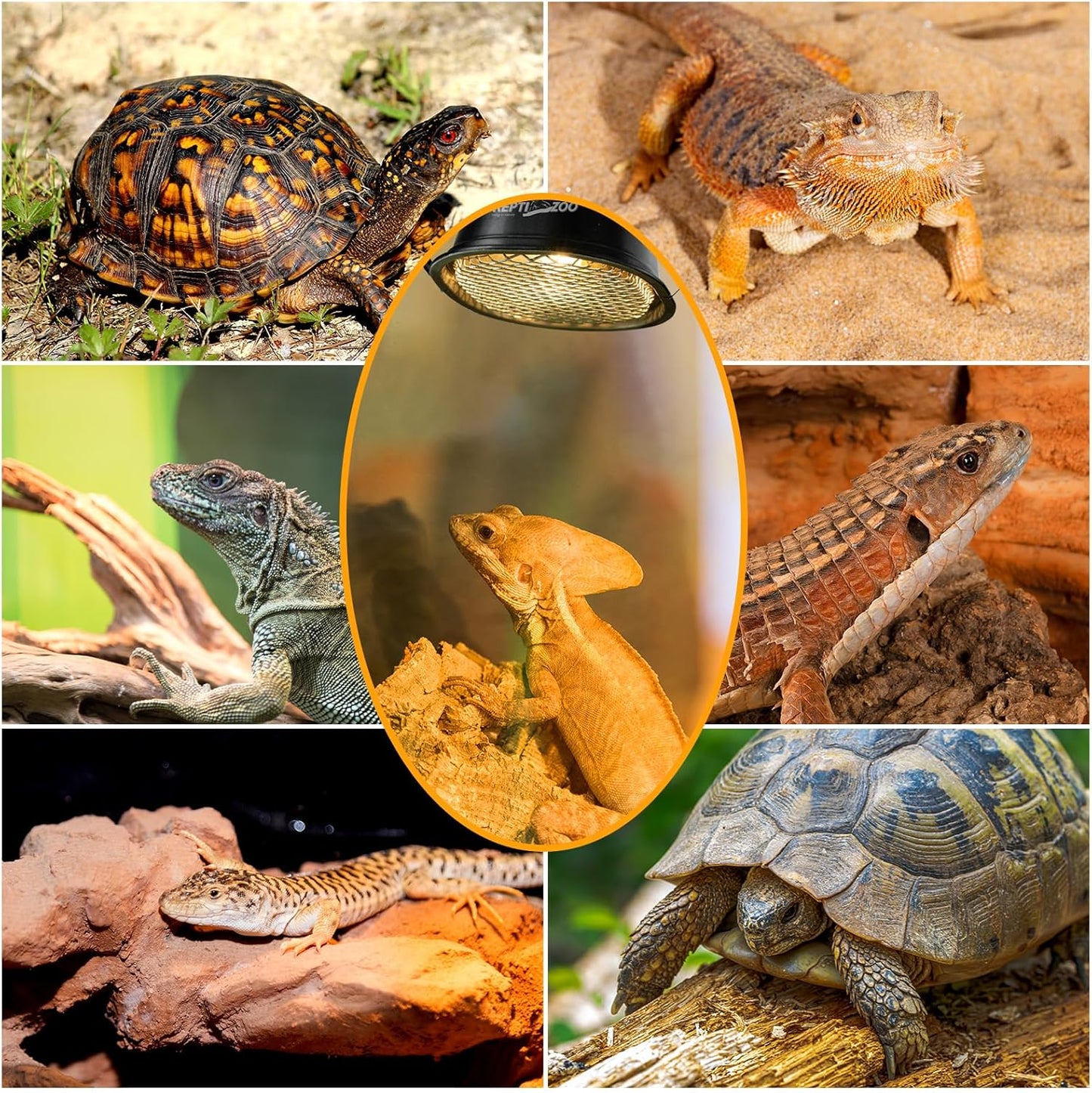 Repti Zoo daytime basking lamp kit creating optimal temperature zone for turtles