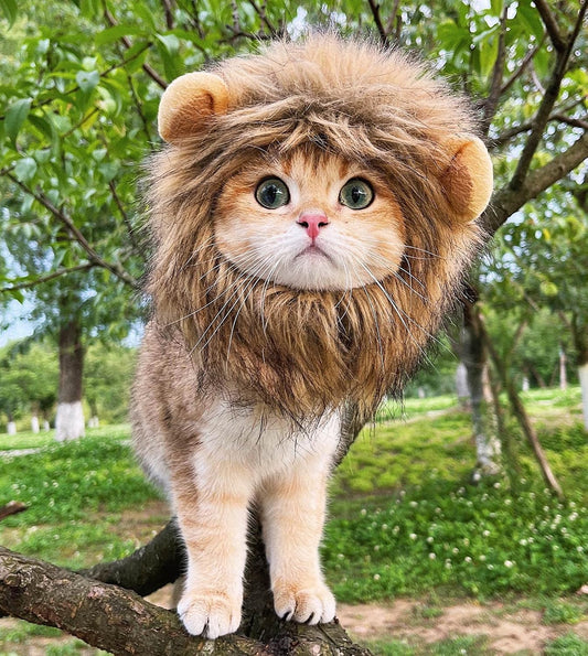 Brown fluffy lion mane costume for cats