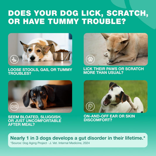 USA imported dog allergy relief treats in duck flavor for managing itchy skin.