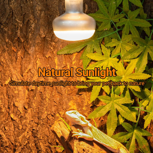 REPTI ZOO reptile heating lamp twin pack showcasing the specialized flat bottom design that increases focused thermal output