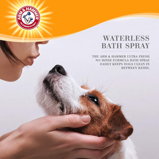 Arm And Hammer dry dog shampoo bottle in hand for size reference
