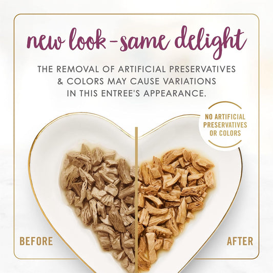 Purina Fancy Feast grilled chicken wet cat food texture in gravy