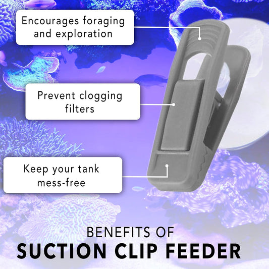 Three-piece set of JOR suction cup fish feeding clamps showing the durable rubber suction mechanism.