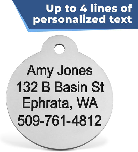 GoTags customized cat tag back view showing four lines of personalized engraved text