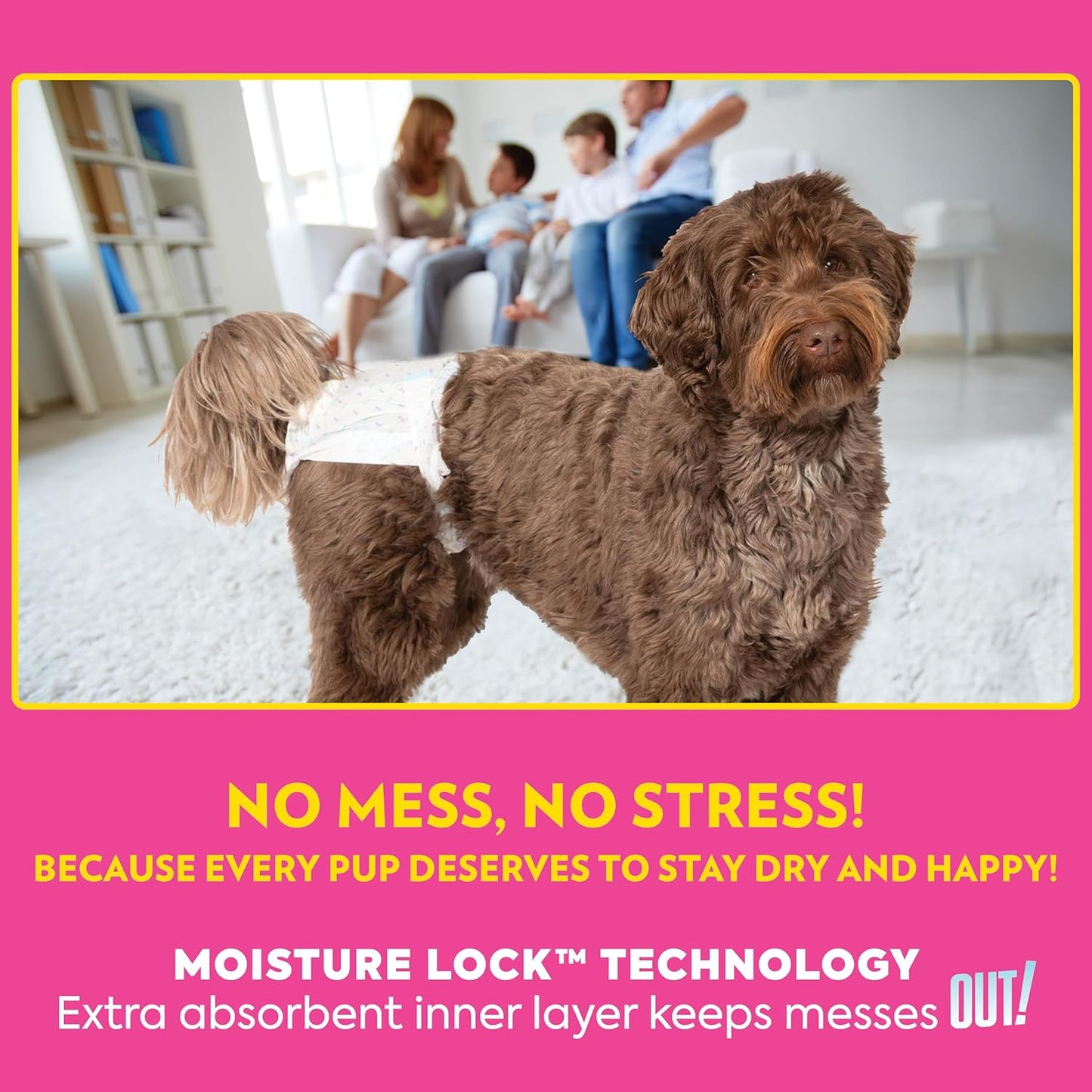 OUT! PetCare disposable pet diapers box showing measurement instructions for eighteen to twenty-five inch waist.