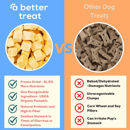 A Better Treat freeze dried pumpkin pet treats scattered next to a fresh pumpkin