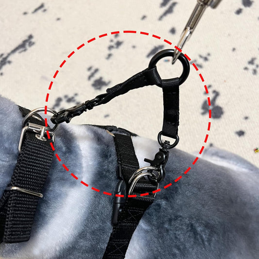 Close-up of the nickel-plated zinc clips on the Della Stella two dog walking attachment.