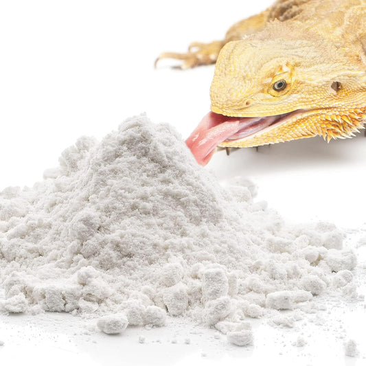 Meric reptile calcium powder jar for exotic pets