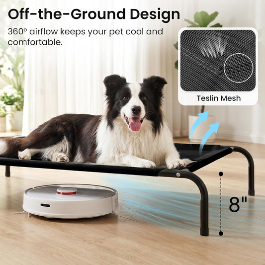 Large dog resting on Love's Cabin elevated pet cot