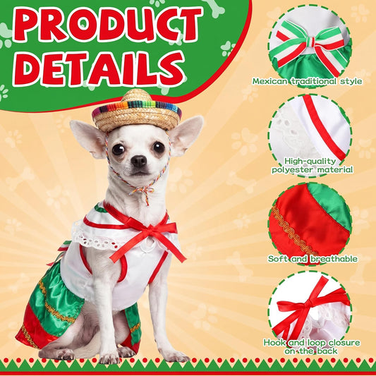 Bulyoou traditional Mexican pet outfit featuring detailed lace borders and vibrant striped pattern.