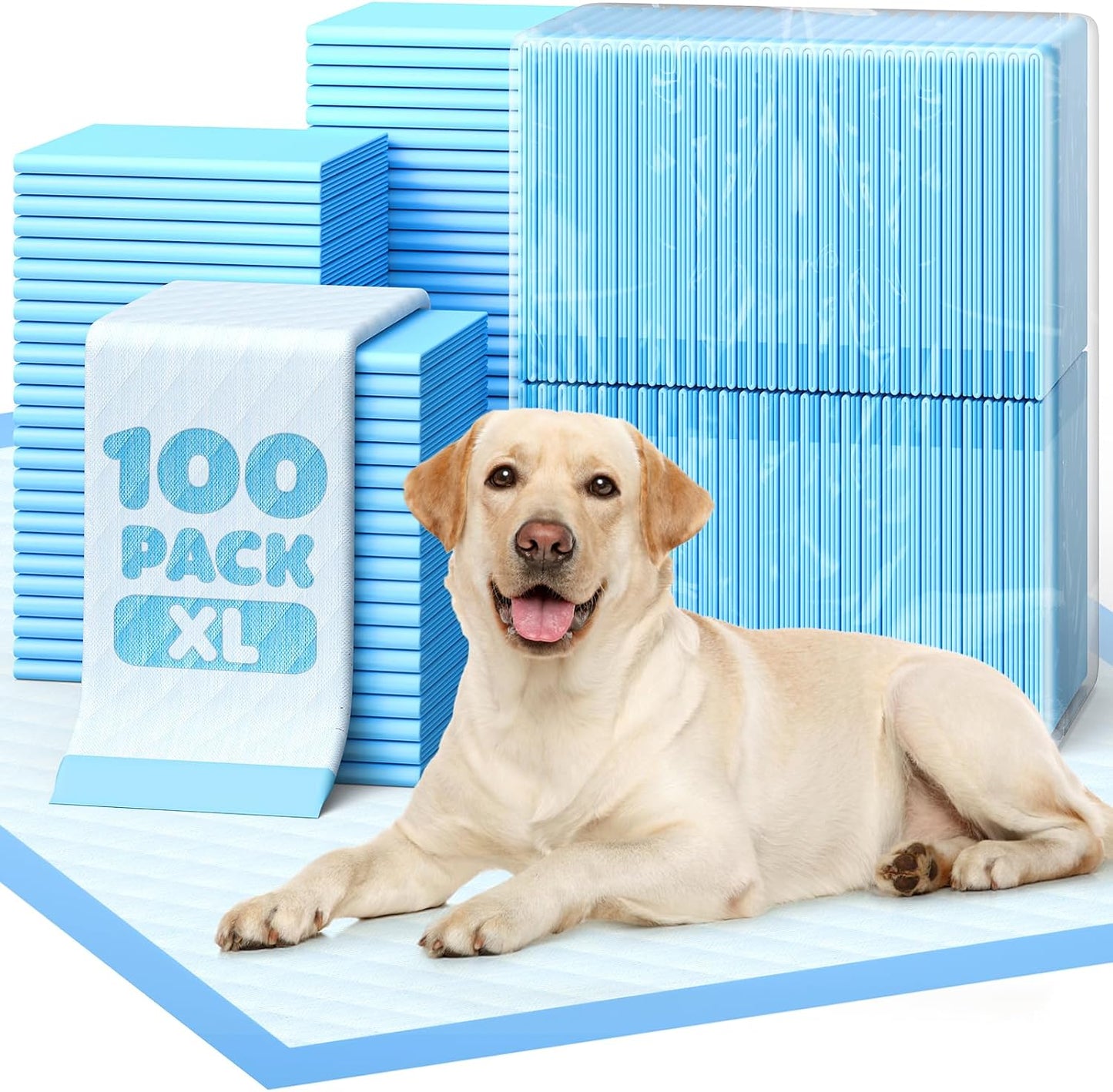 Powools Puppy Pads - Super Absorbent & Spill-Proof Pee Pads for Dogs with 6-Layer Material, Quick-Dry & Hassle-Free Potty Pads for Floors, Furniture, Vehicle, 22" x 22", 100 Packs - Image 11