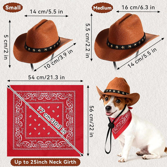 Emutol cat cowboy hat close up view focusing on the golden five pointed star details.