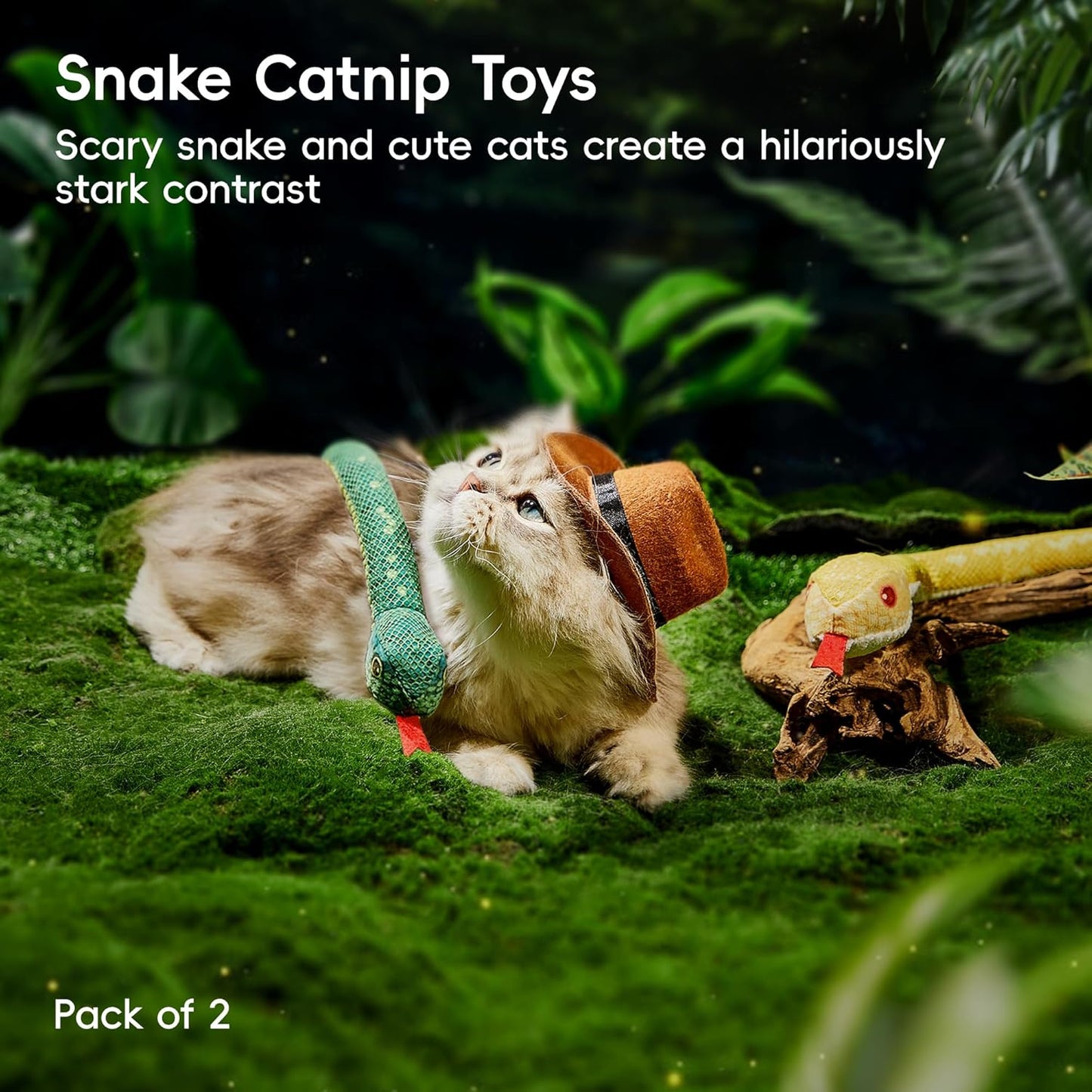 Kitten pouncing on Potaroma crinkly snake toy
