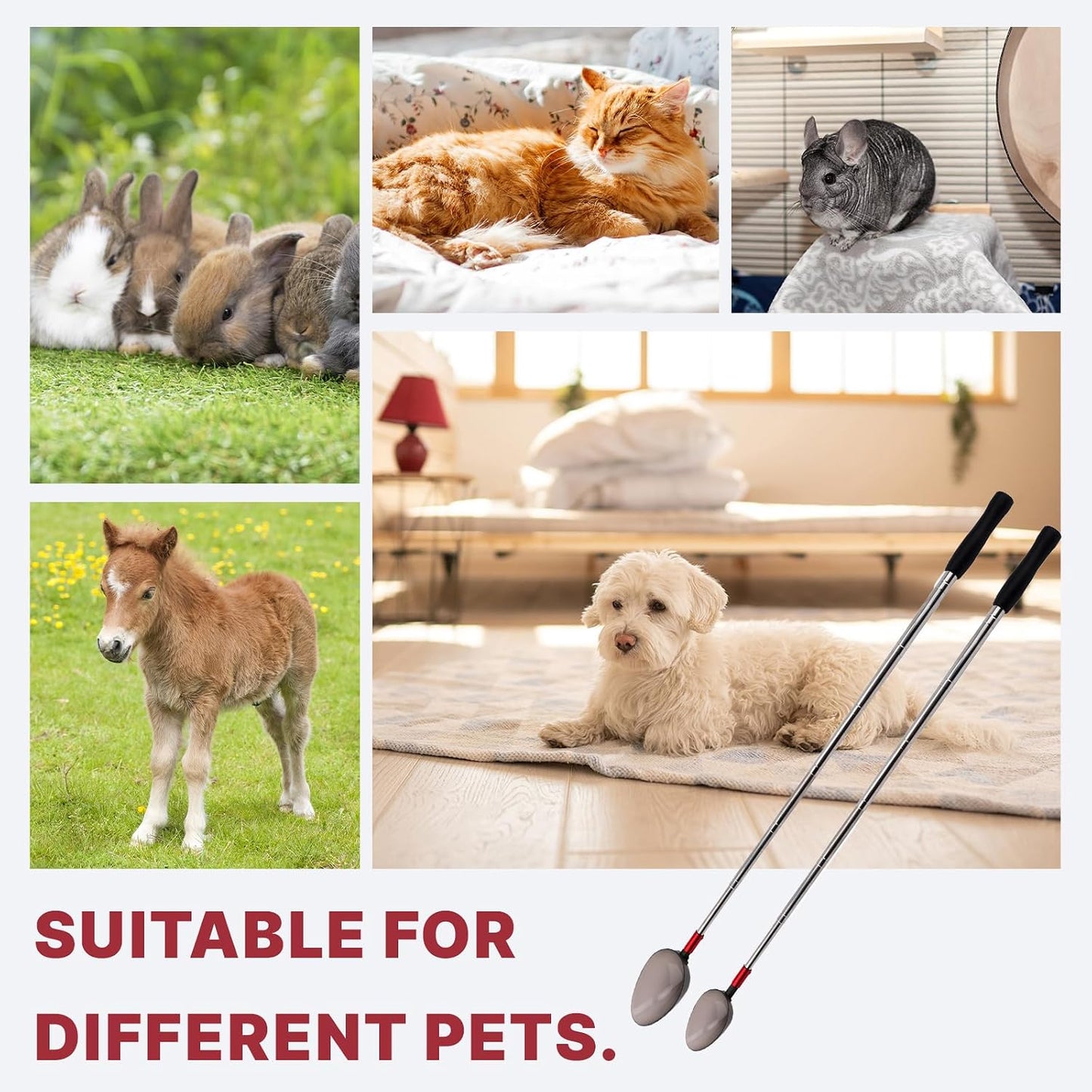 iNenya non invasive dog urine sample collector kit for home health testing