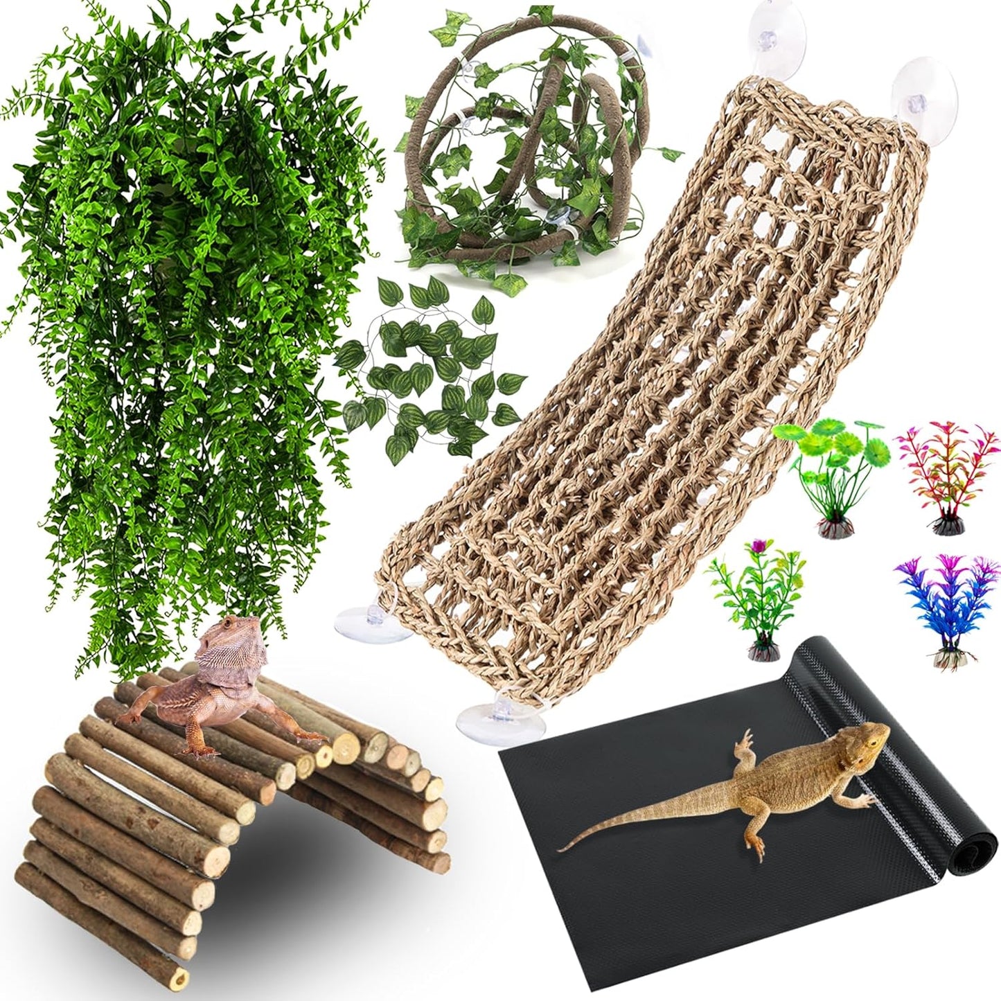 Detailed components of the 9-piece Hercocci terrarium kit