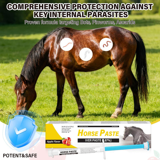 Back of Qouinuey horse paste packaging showing dosage instructions