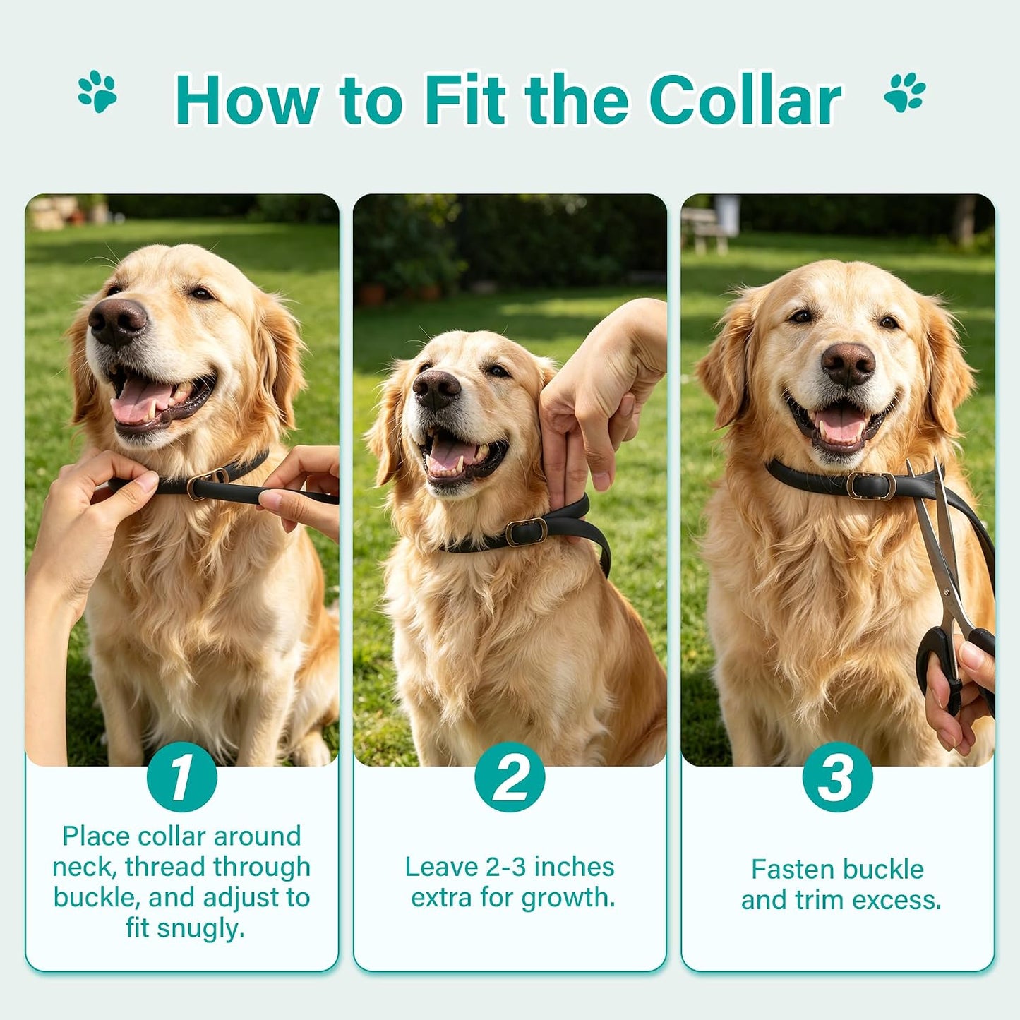 Flea and Tick Collar for Dogs 6 Pack, Natural Flea & Tick Prevention with Essential Oils, Waterproof Adjustable Dog Collar for Small Medium Large Dogs, Black & Gold - Image 9