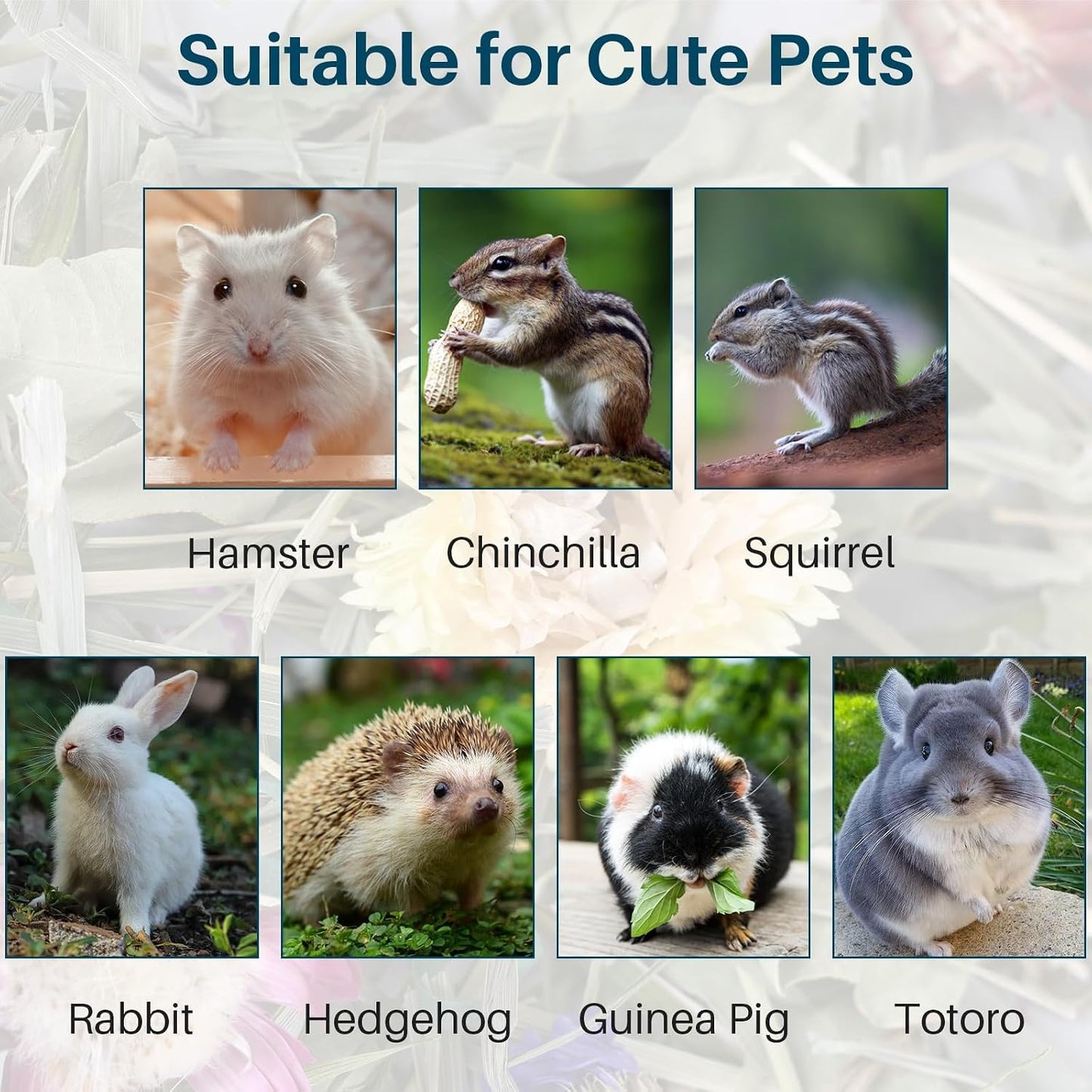 Small animal habitat with natural Sukh botanical bedding