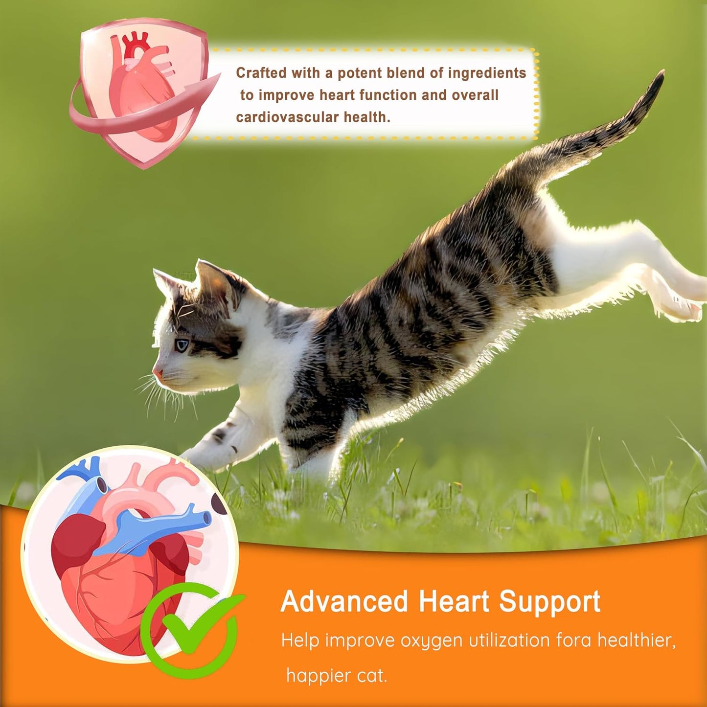 Munchy Chomps cardio supplement tub for healthy cats