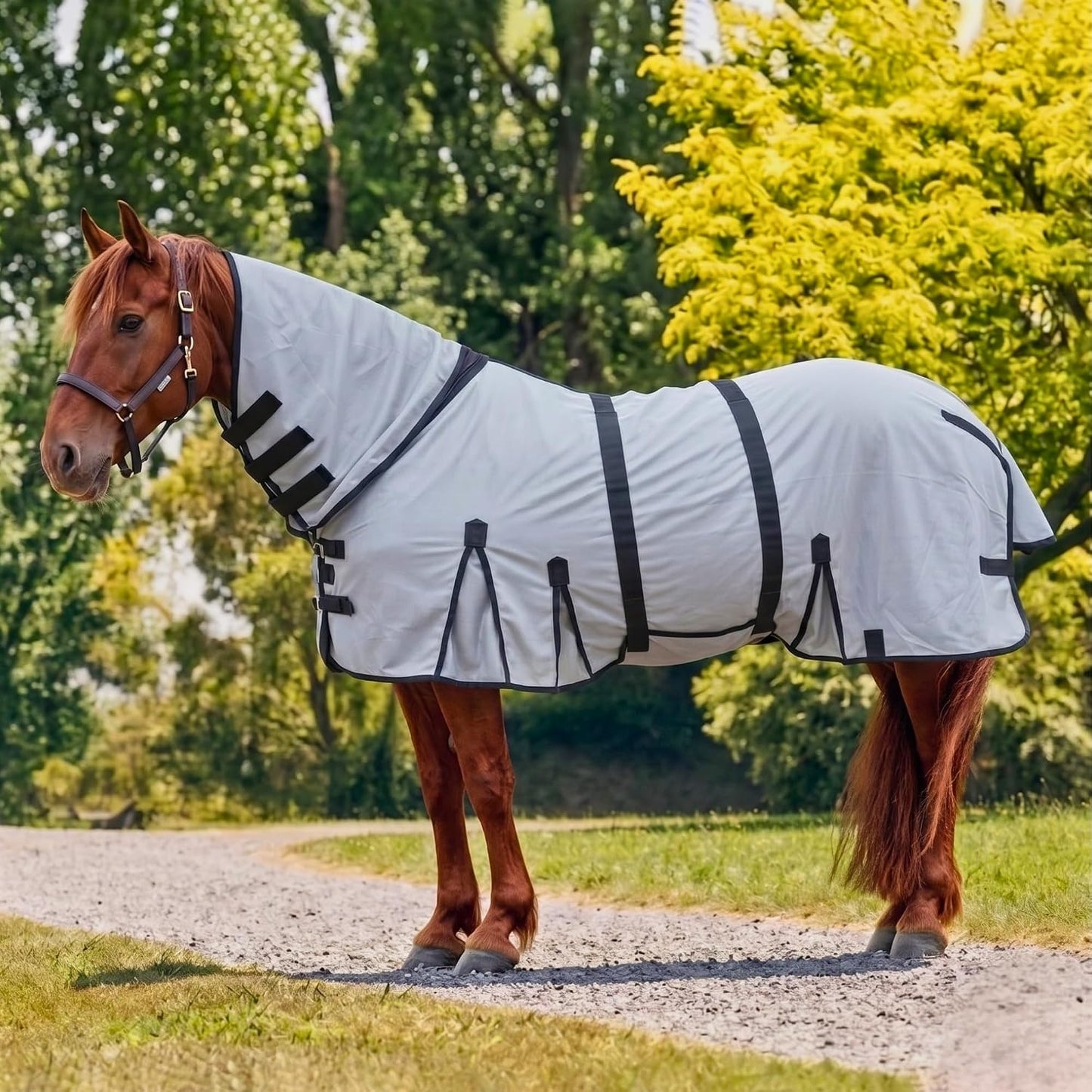 Horse Fly Sheet with Attached Neck Cover & Tail Flap | UV Protection Mesh Horse Blanket, Full Body Bug & Sun Shield, Adjustable Buckles, Belly Wrap & Gussets for Spring Summer Riding Rug - Image 15