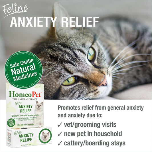 HomeoPet Feline Anxiety Relief natural homeopathic drops for cat stress