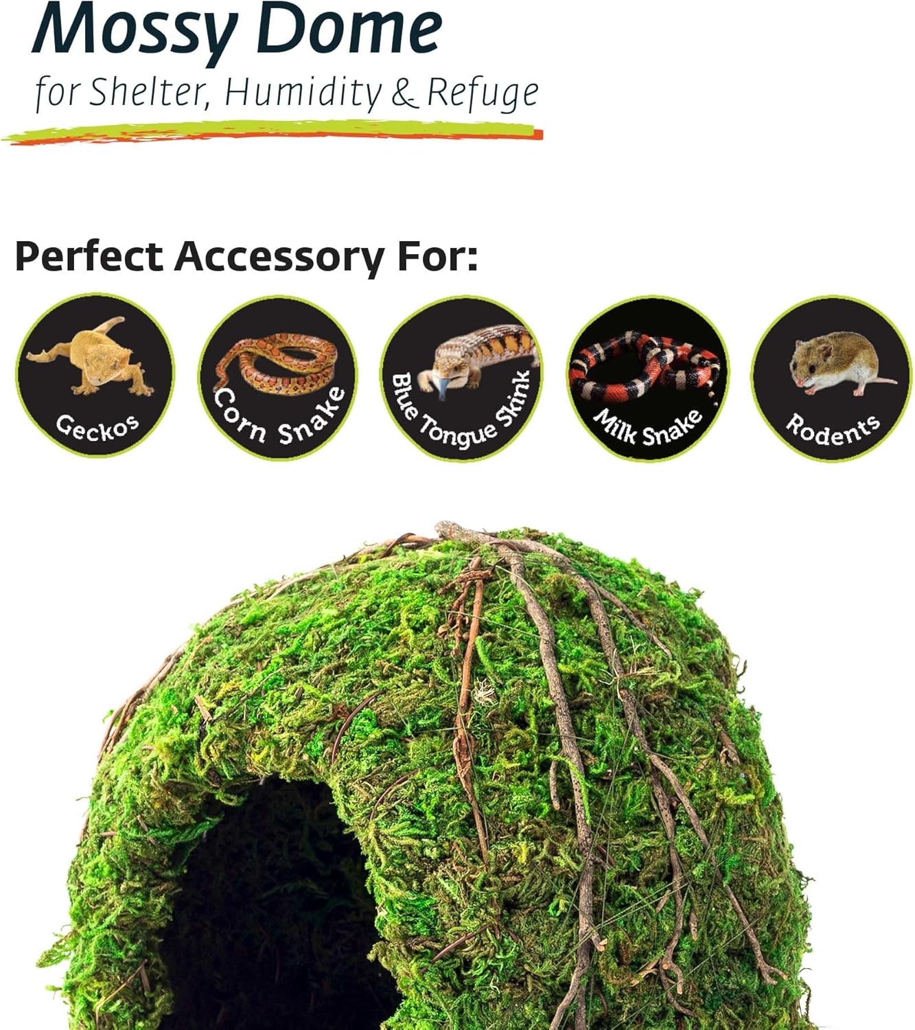 Six inch Galapagos mossy dome humidity hide for geckos