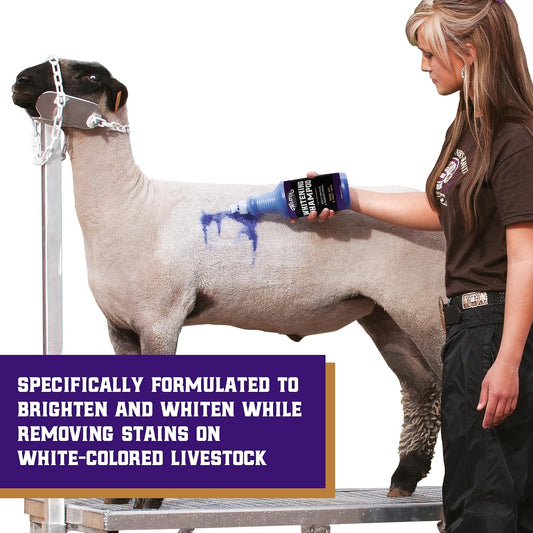 Weaver Livestock animal wash showing purple whitening formula.