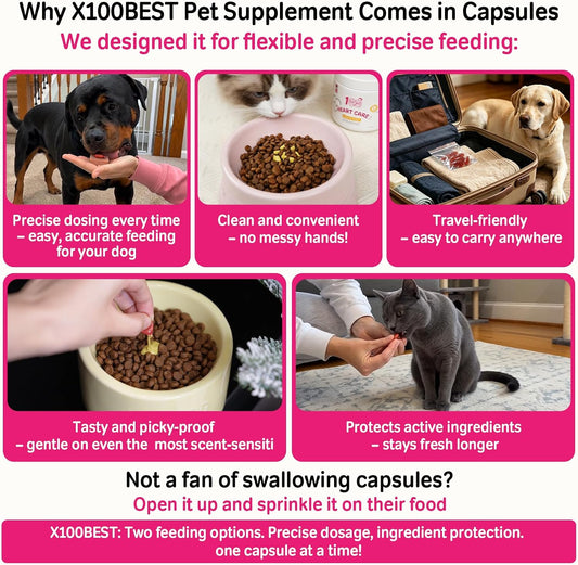 X100BEST pet cardiac support supplement bottle back label displaying active ingredients and taurine content