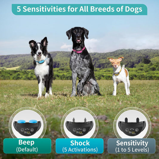 PetJoy automatic bark collar featuring 5 sensitivity levels
