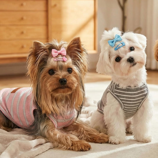 Puppy wearing soft cotton breathable pet vest