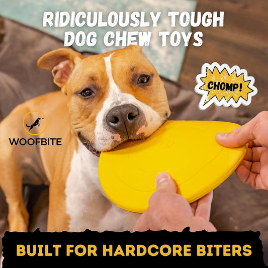 Yellow heavy duty rubber dog frisbee for fetch