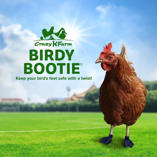 Protective poultry footwear for bumblefoot relief with open toe design