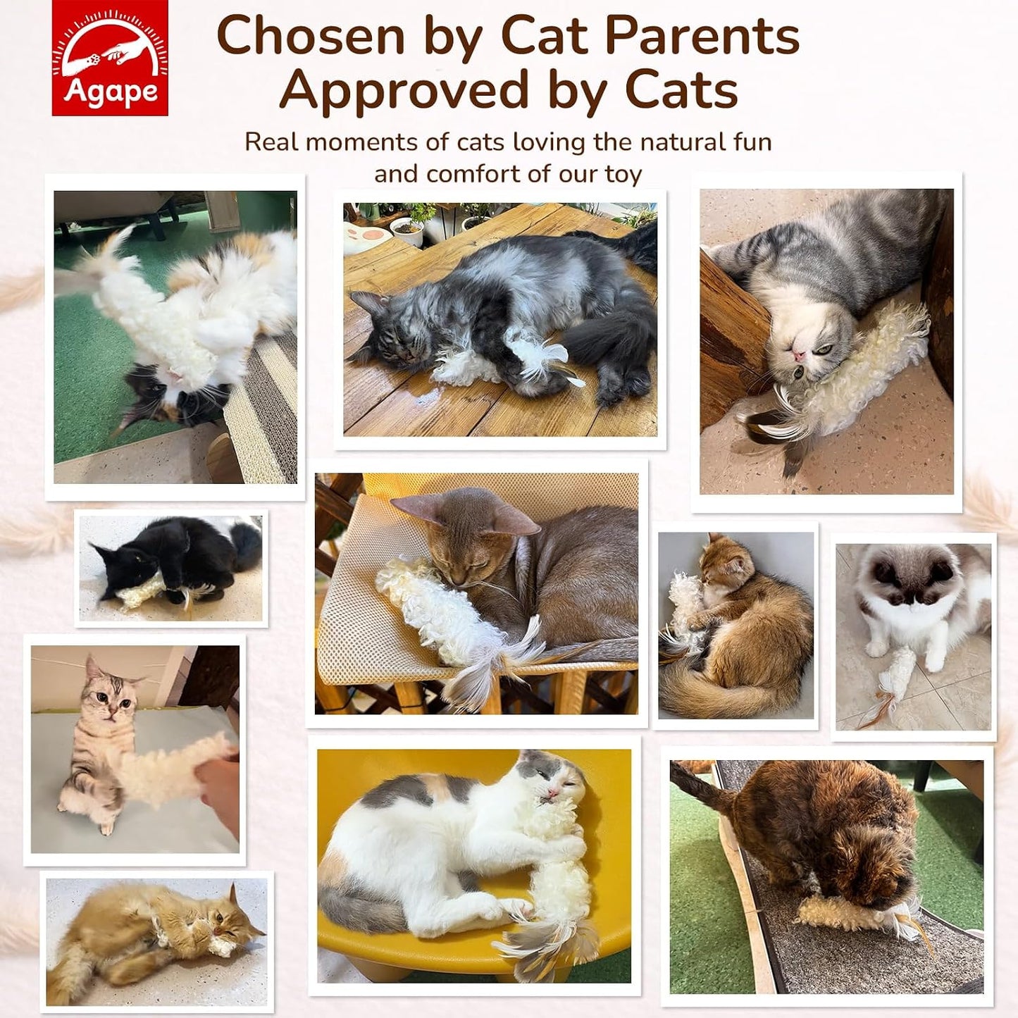 Agape cat toys with natural feathers being played with by a kitten