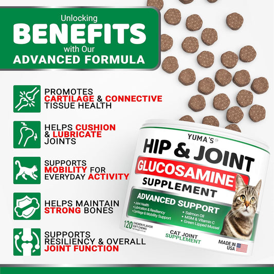 Yuma's cat joint supplement bottle with soft chews visible