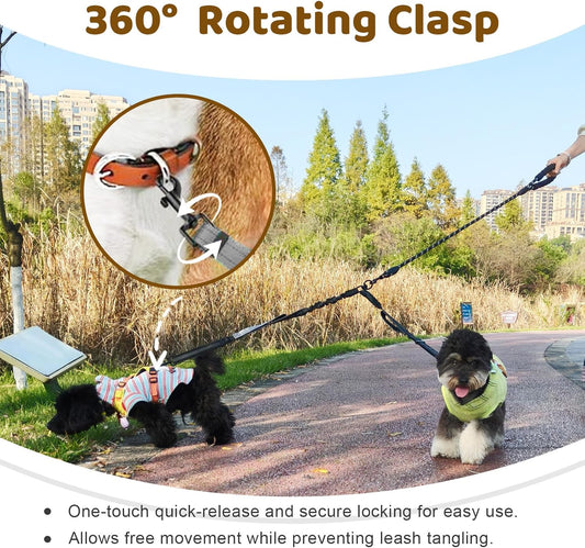 LEOSASA retractable bungee leash showing shock absorbing elastic action