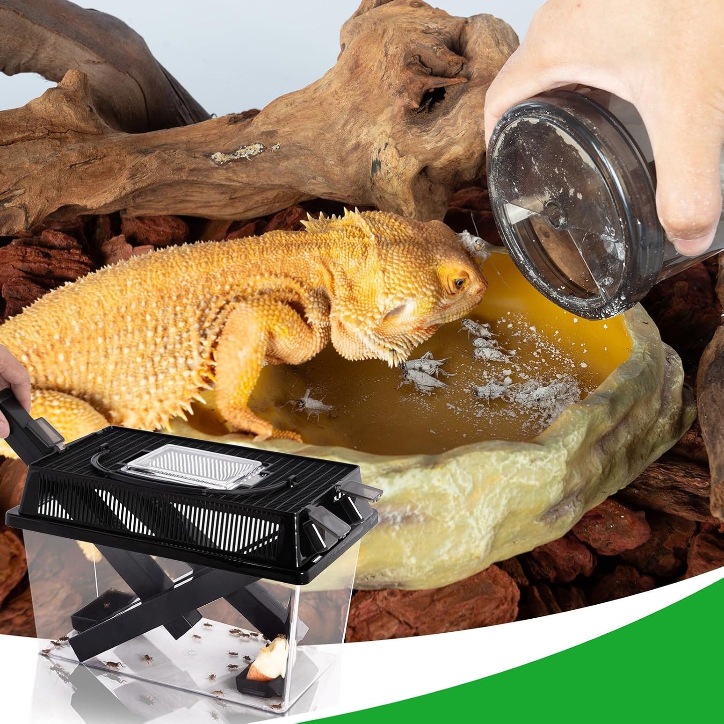 Professional reptile feeding maintenance tool set