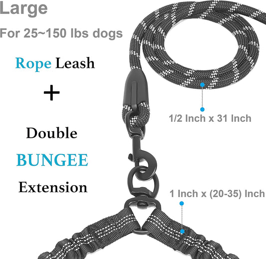Close up view of the iYoShop double dog walking leash highlighting the stainless steel 360 degree swivel clasp.