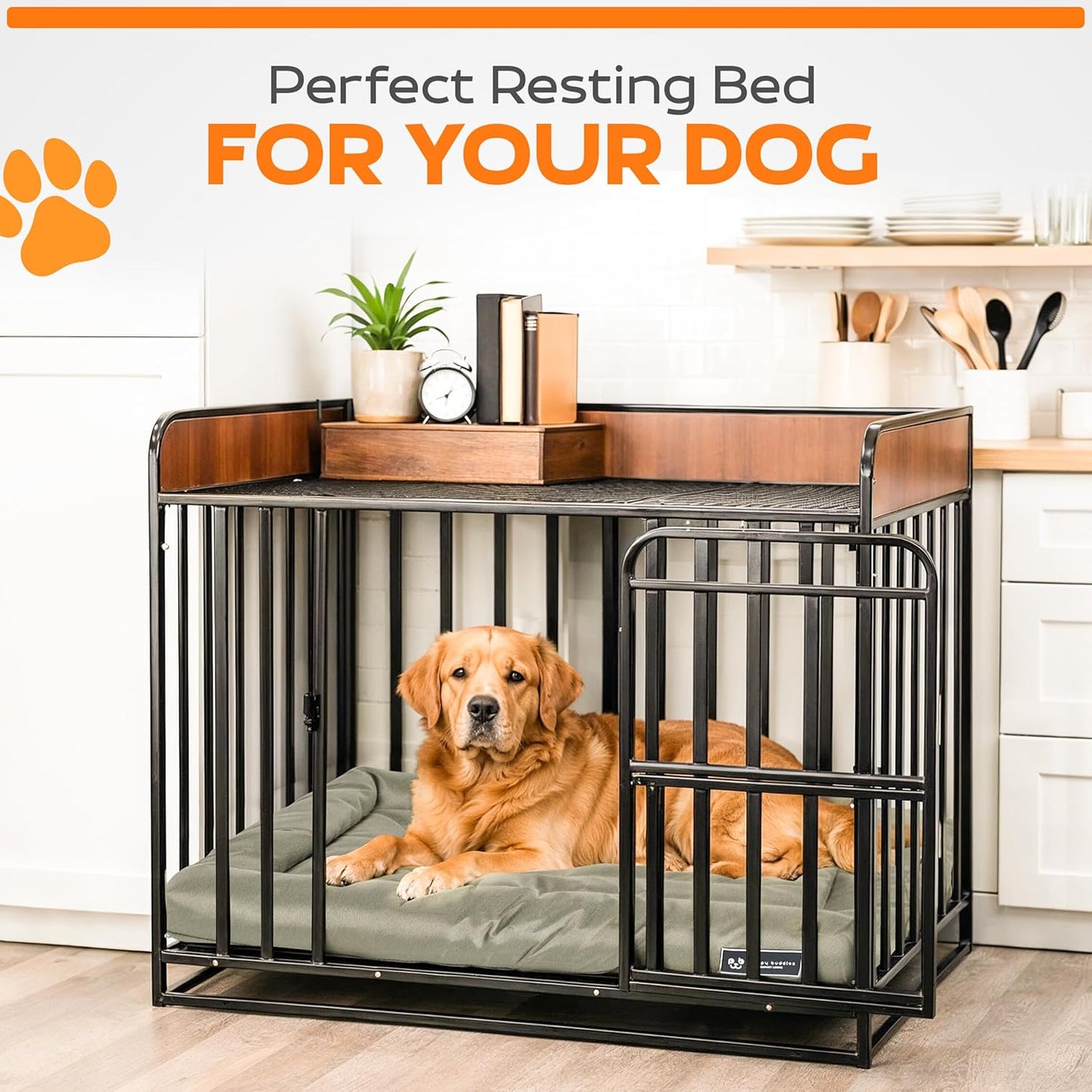 Dog resting comfortably on 1231 Brands crate pad