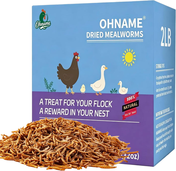 2LB Dried Mealworms for Chickens - 52% Protein for Growth - Image 1