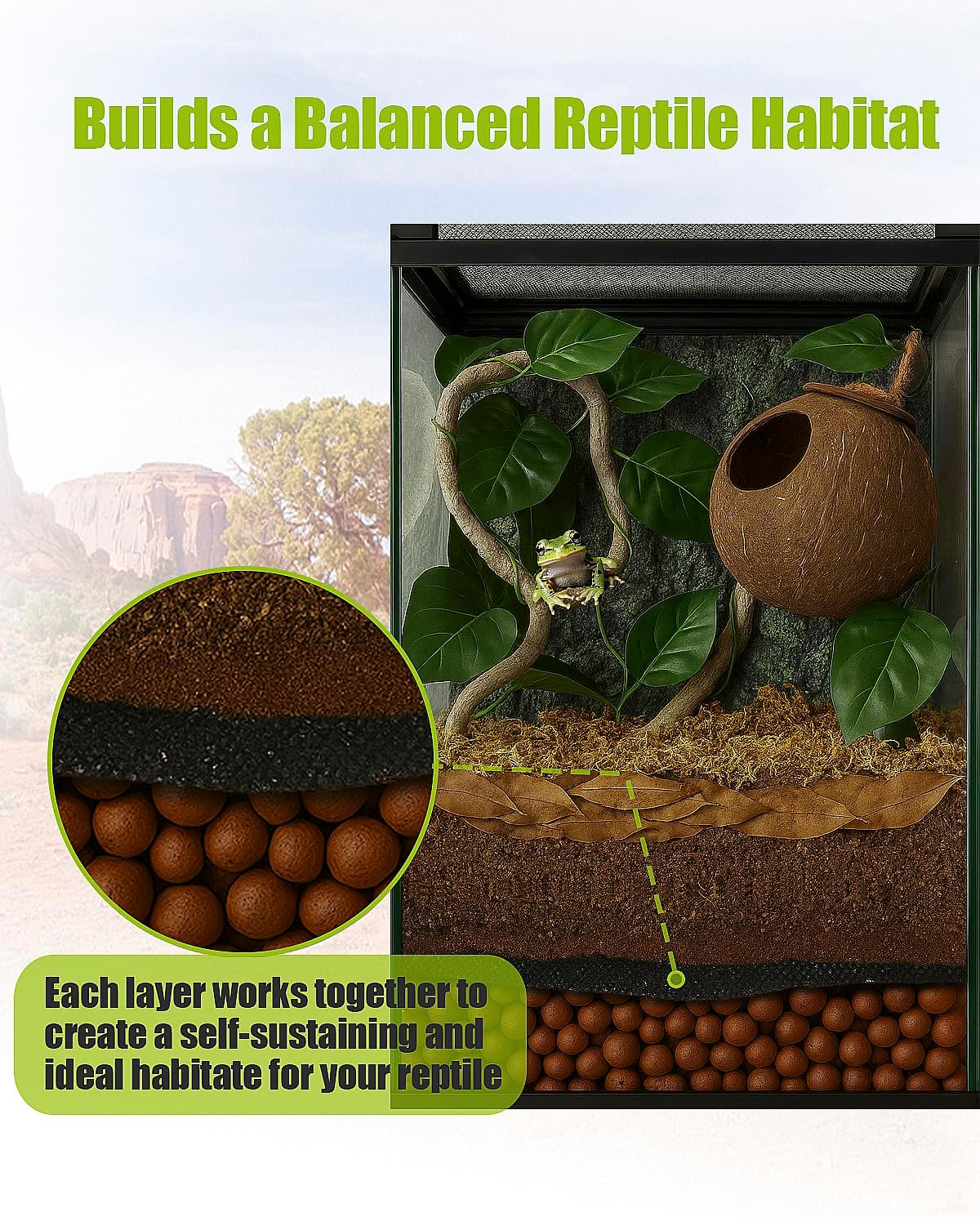 Reptile tank accessories package for bioactive habitats.