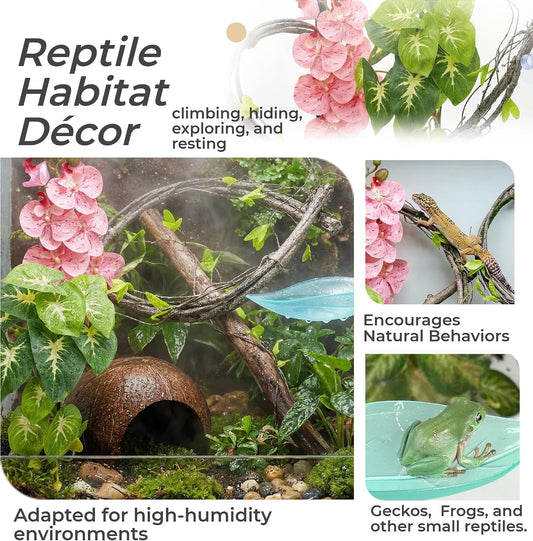 Natural coconut shell hide included in Gluzoo gecko kit