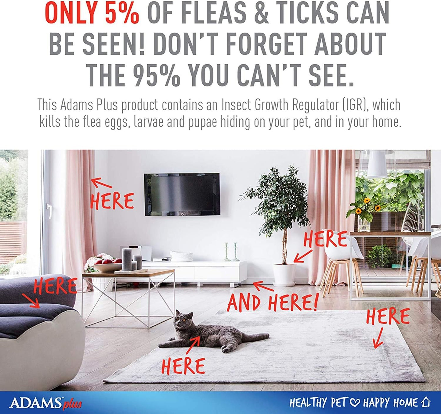 Detailed label of Adams Plus Flea and Tick Spray