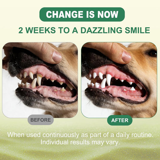 Pet plaque and tartar remover powder mixed in dog food bowl