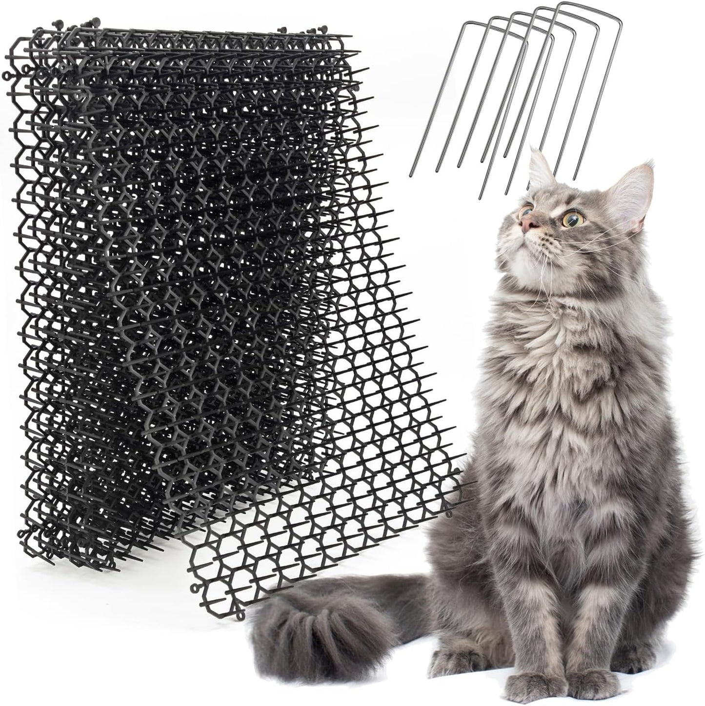 Ley's pet deterrent mat on kitchen counter