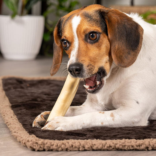 Pet Factory natural flavor five inch dog chews display