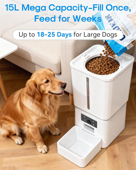Smart pet food dispenser with high definition camera lens and status indicator lights visible on the body