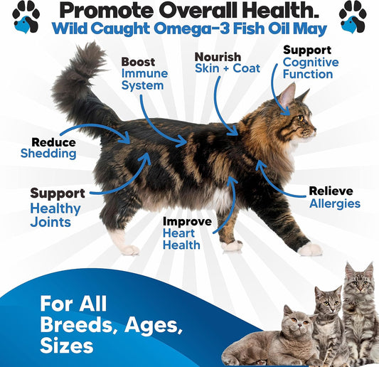 Plano Paws liquid pet supplement showing pump dispenser for easy mixing with cat food.